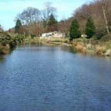 Conwy Water Gardens