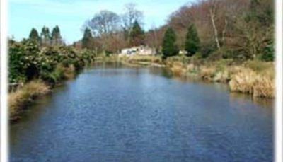 Conwy Water Gardens