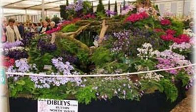 Dibleys Nurseries