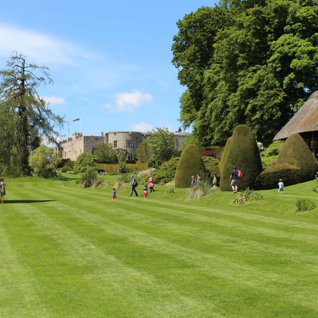 Garden Tours with the Head Gardener