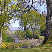 Plas Newydd House and Gardens