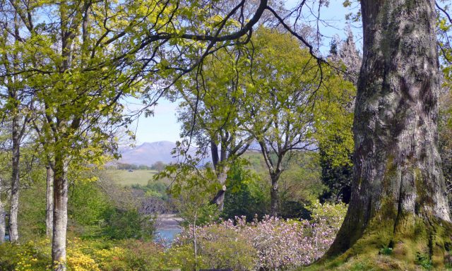 Plas Newydd House and Gardens