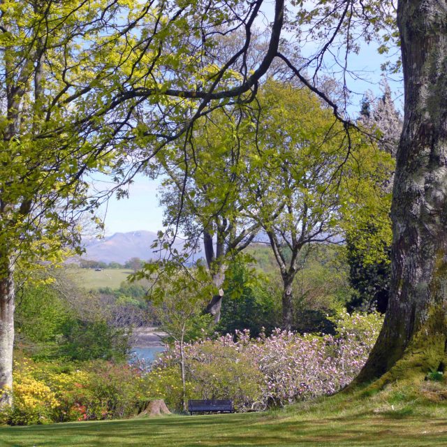 Tea with the Head Gardener