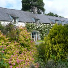 Caerau Uchaf Gardens