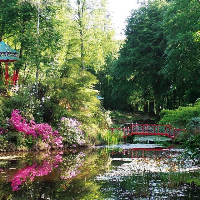 Festival of Gardens at Portmeirion