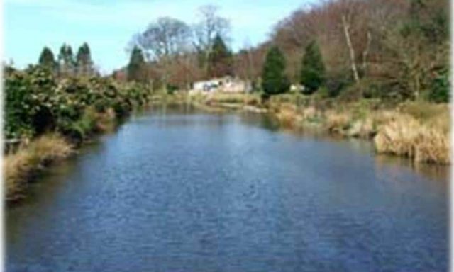 Conwy Water Gardens