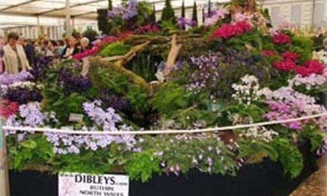 Dibleys Nurseries