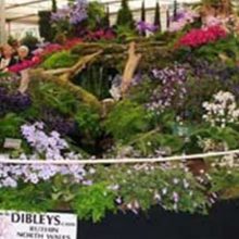 Dibleys Nurseries